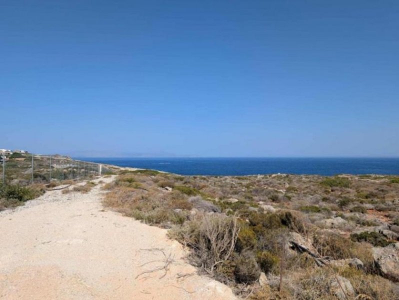 Stavros Kreta, Stavros: Küstengrundstücke mit Baugenehmigung und Meerblick zu verkaufen Grundstück kaufen